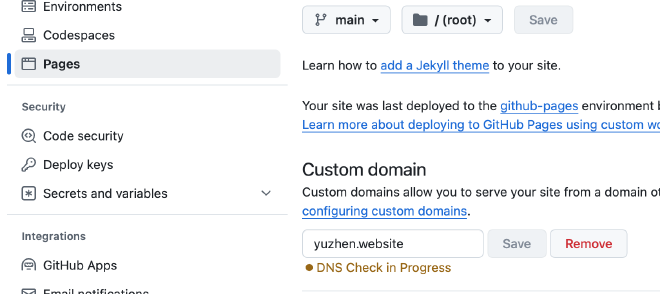 Custom domain settings example